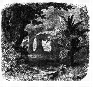 La selva de Petén