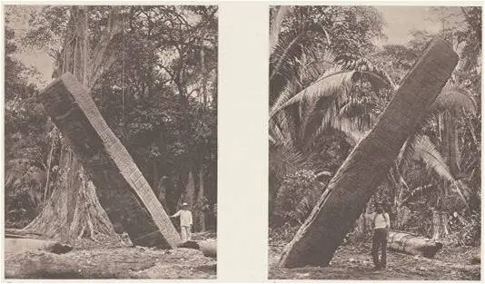 “Los llanos del bosque, donde han sido encontrados los monumentos de Quiriguá, se levantan sólo a unos cuantos pies sobre el nivel ordinario del río Motagua. En las épocas de creciente, el río se desborda sobre el bosque. También el lugar de las ruinas parece haber sido frecuentemente inundado, como lo indica la humedad y lo pantanoso del terreno, así como la posición de varios de los monumentos. Además, es notorio que la última inundación de octubre de 1852, llegó hasta aquí, y que la mayor parte de las ruinas quedaron bajo el agua. A consecuencia de esto, varios de los ídolos que originalmente se encontraban en posición vertical, en esta época amenazaban caerse al suelo”.