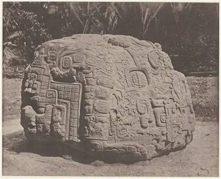 Imágenes 4 y 5. “La contraparte de esta figura humana, en el lado Suroeste del altar, es una tortuga colosal, de cinco pies de alto, con la cabeza y las patas delanteras vueltas hacia arriba. La parte posterior de la concha, bastante trabajada, está vuelta hacia afuera (…) El intento de transportar esta escultura, la más bella y más gigantesca de todas las de Quiriguá, está fuera de discusión, debido a su gran tamaño y peso inmenso…” (Descripción del Dr. Scherzer).