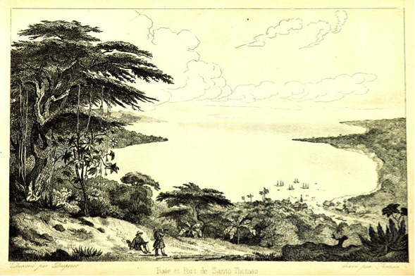 La bahía de Santo Tomás según un grabado de 1840. Esta imagen agreste y salvaje del trópico Caribe fue la primera imagen que tuvieron los inmigrantes italianos de Guatemala, desde los barcos del fondo, claro.